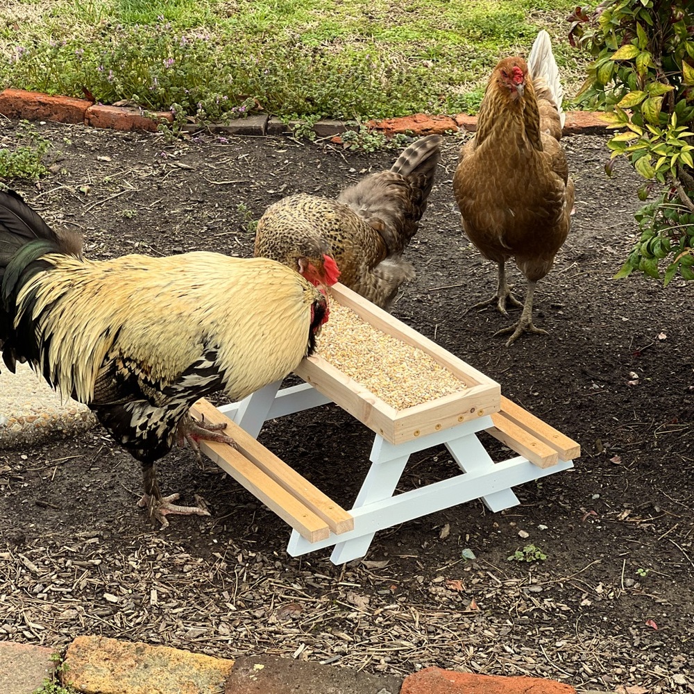 Chicken picnic table